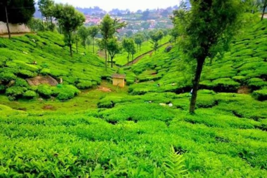 Ketti Valley viewpoint-5